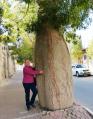 ethelea-tree-hugger