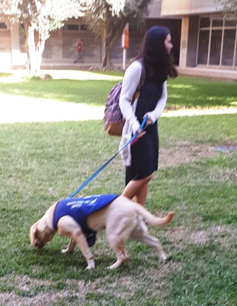 Seeing-eye dog at BGU