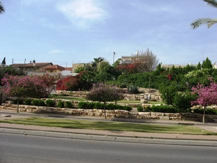 Desert landscaping 2